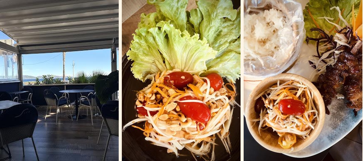 Siam Cavalaire - Gallery Image 2