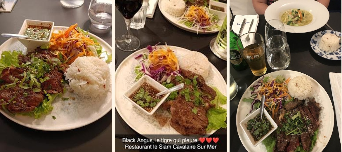 Siam Cavalaire - Gallery Image 4